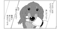 最後の瞬間まで飼い主思いだった愛犬。飼い主が伝えたかったことは...／アルへ