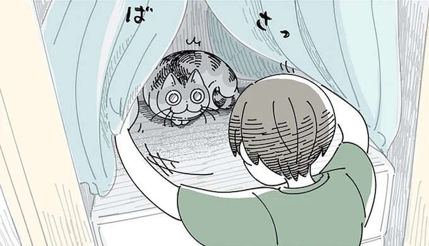 たまに発生する「猫とのイベント」。クローゼットを開けると中をジロジロ、しまいに.../夜は猫といっしょ5