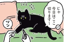 爪切りに怯える猫。耐える姿も...かわいい！／黒猫ろんと暮らしたら5