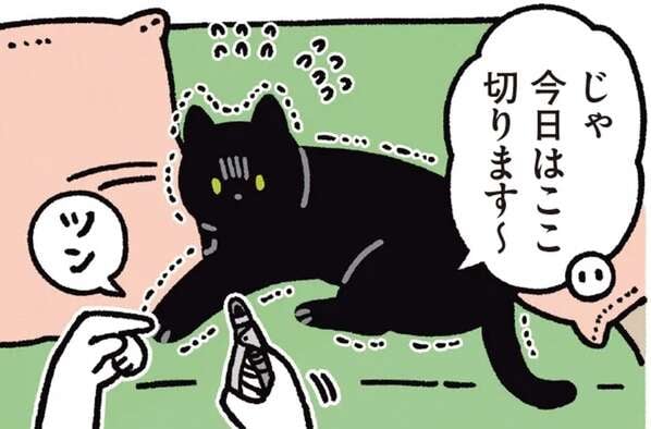 爪切りに怯える猫。耐える姿も...かわいい!/黒猫ろんと暮らしたら5