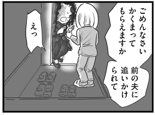 「かくまってもらえますか」追い詰められた友人の母。男は我が家のドアの前まで迫り.../消えた母子をめぐる物語