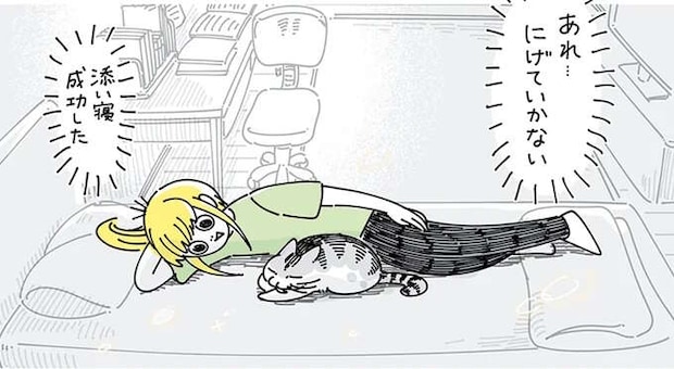 猫と添い寝したい！ 失敗を重ねてついに...あれ？／夜は猫といっしょ5