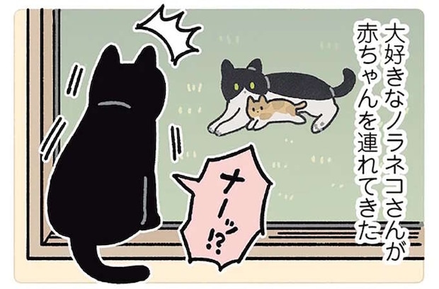 愛猫が大興奮! 大好きなノラネコさんが赤ちゃんを連れてやってきた/黒猫ろんと暮らしたら5
