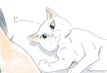 保護された子猫も今では...。飼い主をメロメロにさせる仕草は／拾い猫のモチャ2