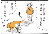 大丈夫!? 愛犬レトリバーを連れたおばあちゃんが腰を曲げて歩いていたワケ／姫ばあちゃんとナイト2