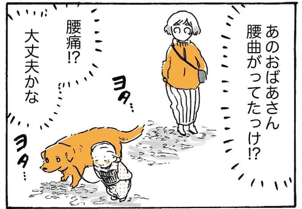 大丈夫!? 愛犬レトリバーを連れたおばあちゃんが腰を曲げて歩いていたワケ/姫ばあちゃんとナイト2