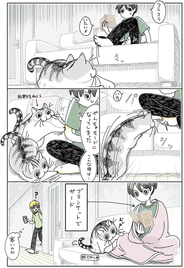 15896112.webp