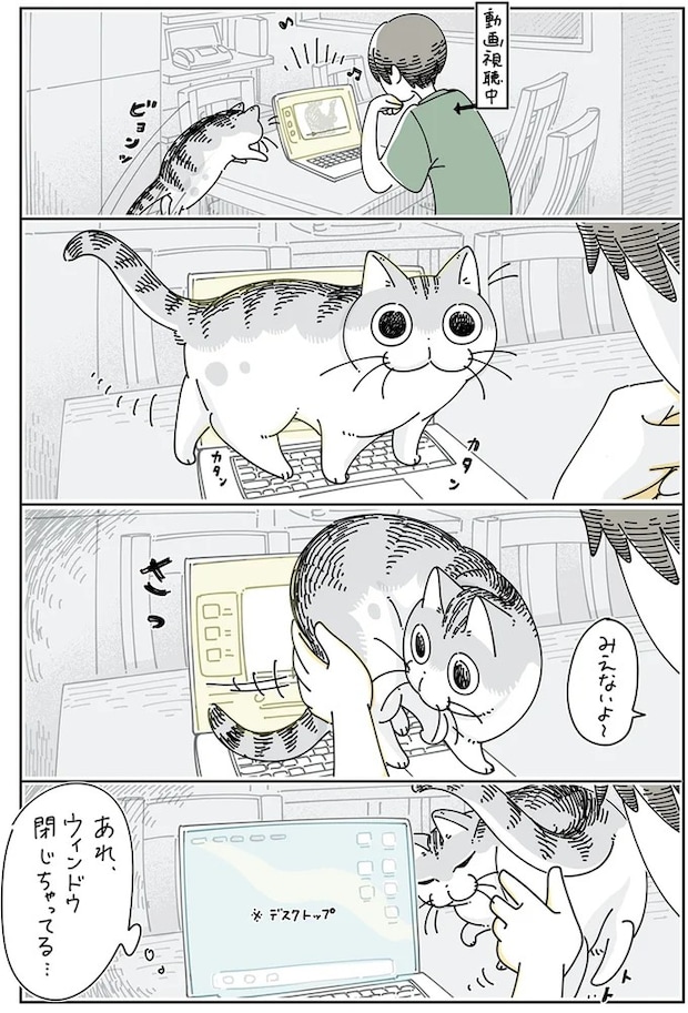 15896109.webp