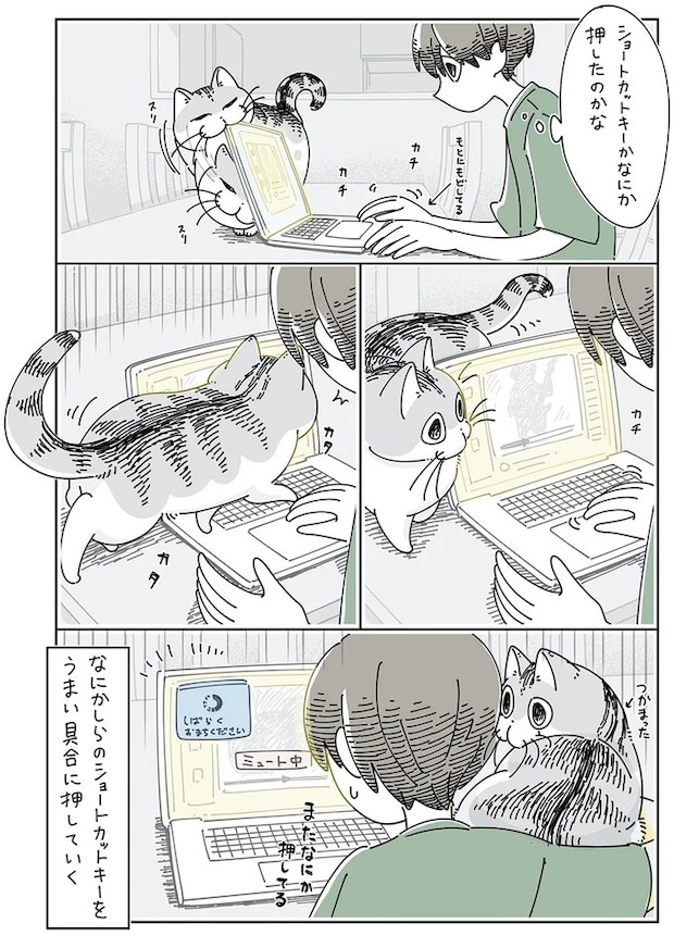 15896110.webp