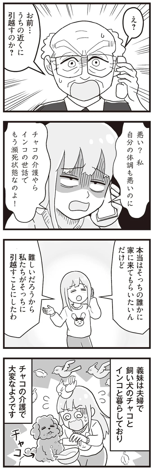 15861176.webp