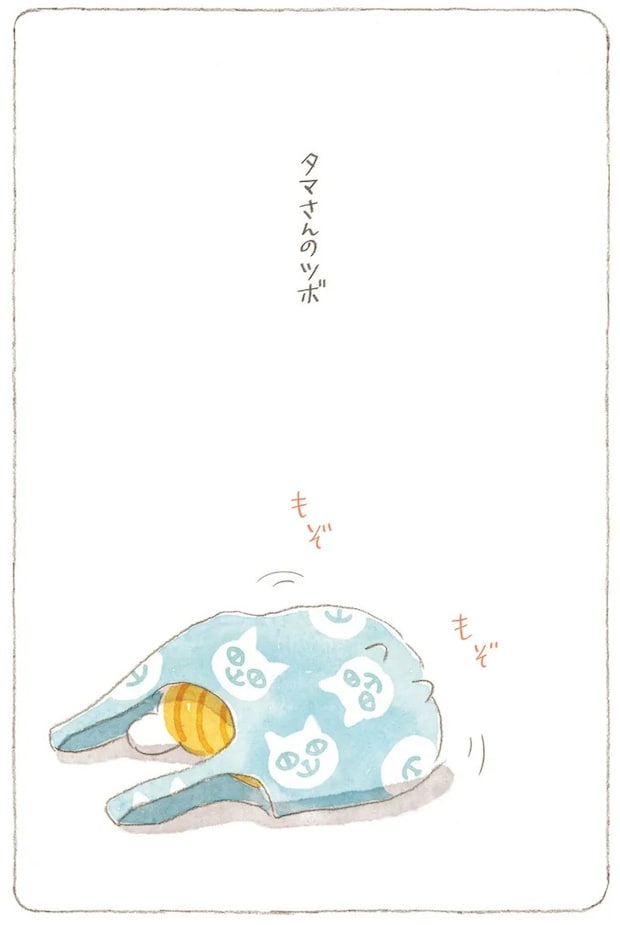 15824564.webp
