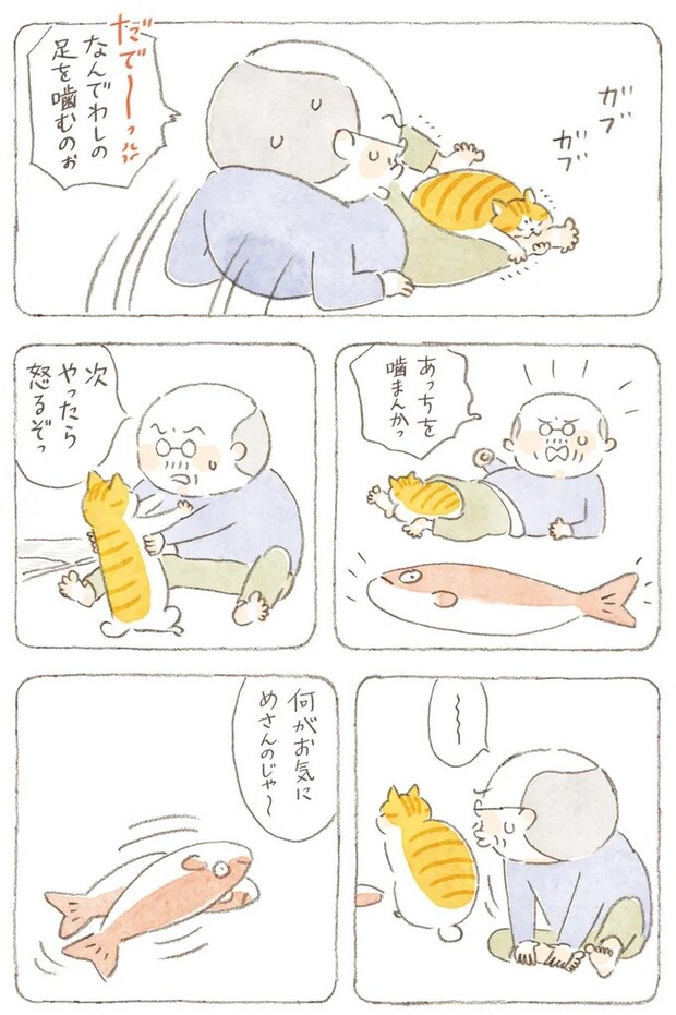 15824568.webp