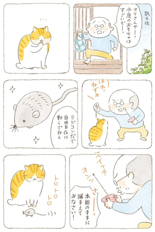 15824569.webp