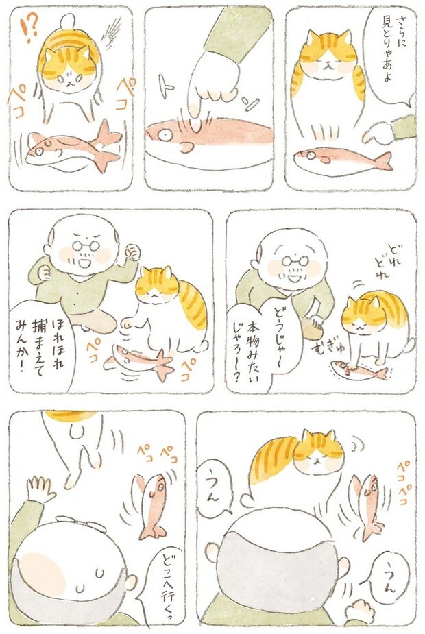 15824566.webp