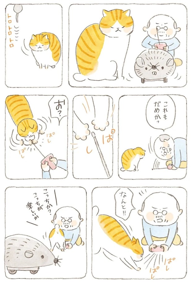 15824570.webp
