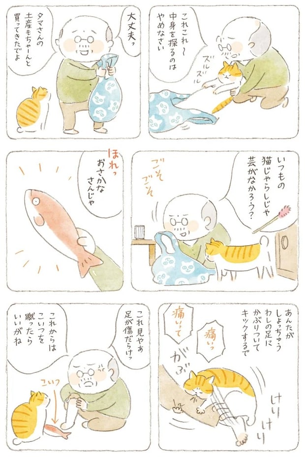 15824565.webp