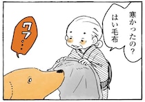 愛犬レトリバーは毛布よりこっち！ 掛け布団にしたがるのはばあちゃんの...／姫ばあちゃんとナイト2