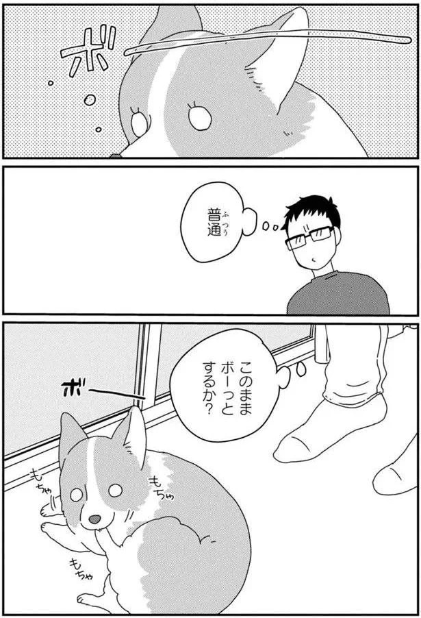 15699718.webp