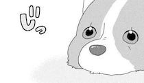 愛犬コーギーが遠くから飼い主を「監視」。呼んでも近づかないけど...なんでここは？／あしょんでよッ5