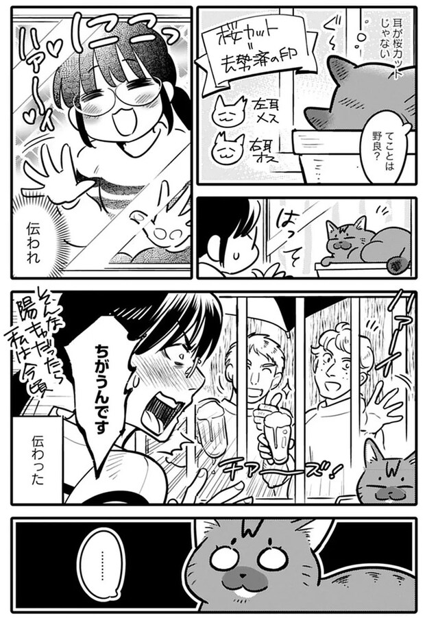 15751396.webp