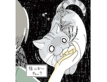 なでられたくてグングン迫ってくる猫。なのに一瞬、冷静になる瞬間が...／夜は猫といっしょ5