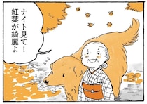 「見て！」鳥を指差すおばあちゃん。でも、愛犬レトリバーの視線の先は...／姫ばあちゃんとナイト2