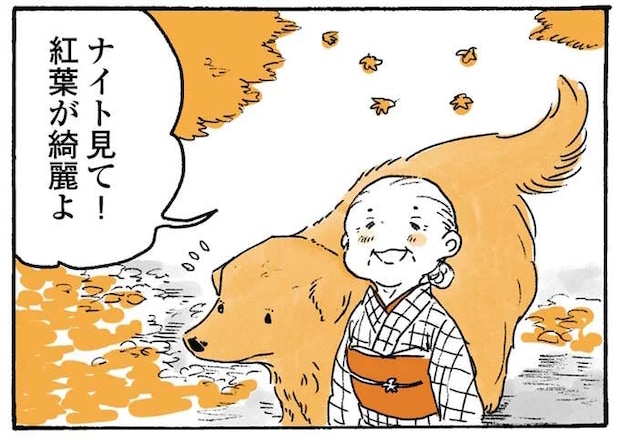 「見て！」鳥を指差すおばあちゃん。でも、愛犬レトリバーの視線の先は...／姫ばあちゃんとナイト2
