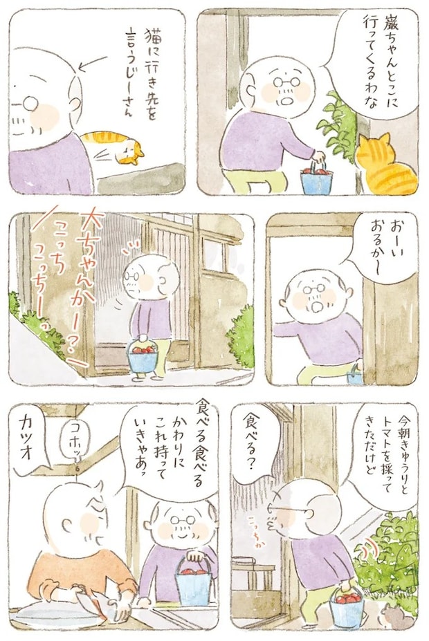 15824586.webp