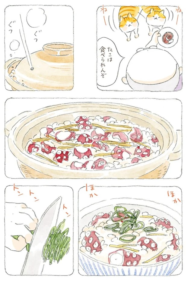 15824591.webp