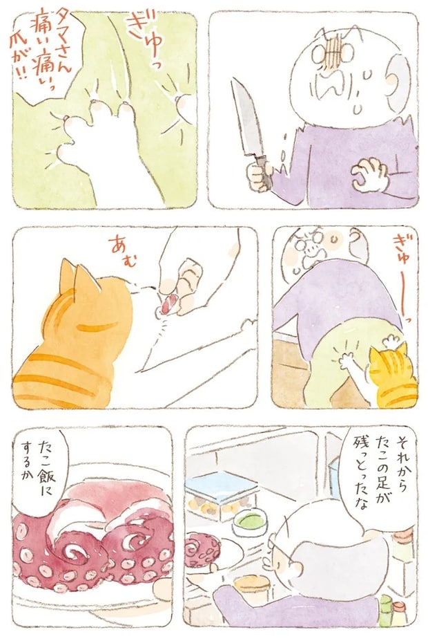 15824590.webp