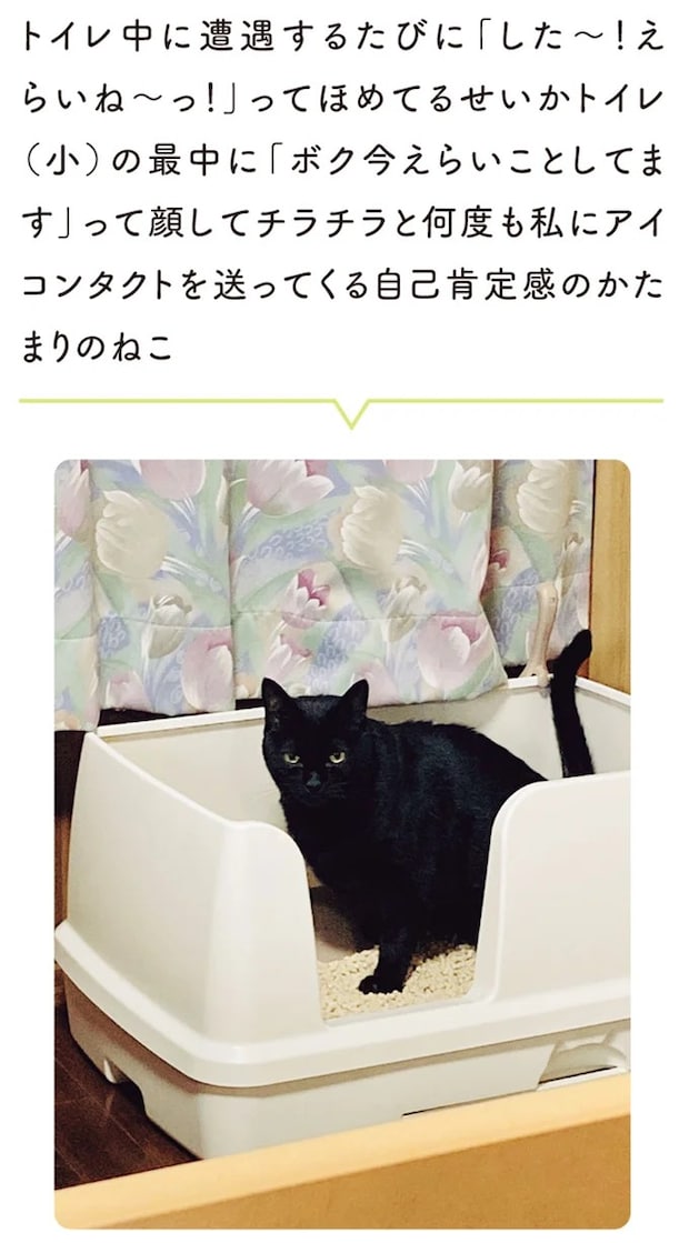 15899431.webp