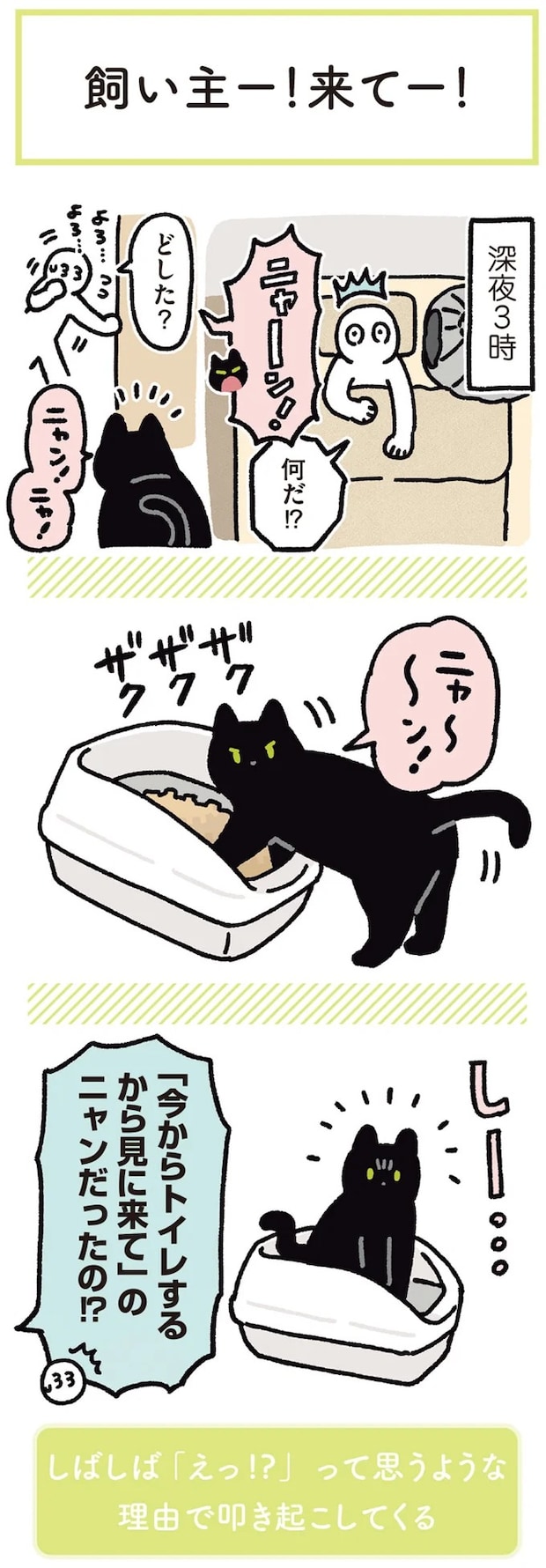 15899430.webp