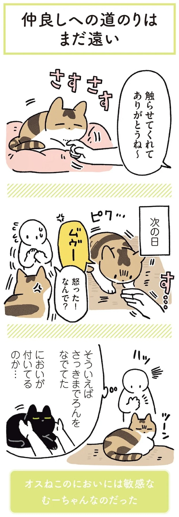 15899429.webp