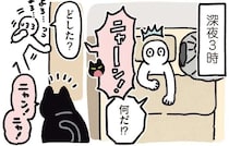 深夜でも私を叩き起こす猫。目的は...え、それ!?／黒猫ろんと暮らしたら5