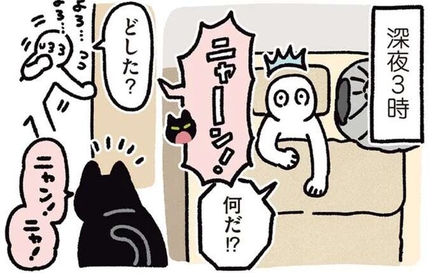 深夜でも私を叩き起こす猫。目的は...え、それ!?／黒猫ろんと暮らしたら5