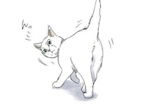 保護され、うちの子になった子猫ミルク。突然、何かに気付いて...ん？／拾い猫のモチャ3
