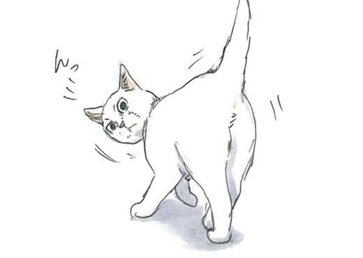 保護され、うちの子になった子猫ミルク。突然、何かに気付いて...ん？／拾い猫のモチャ3