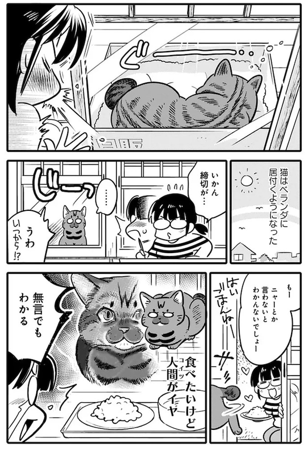 15791617.webp