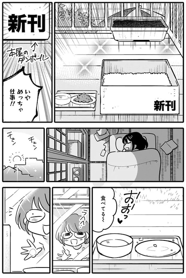 15791616.webp