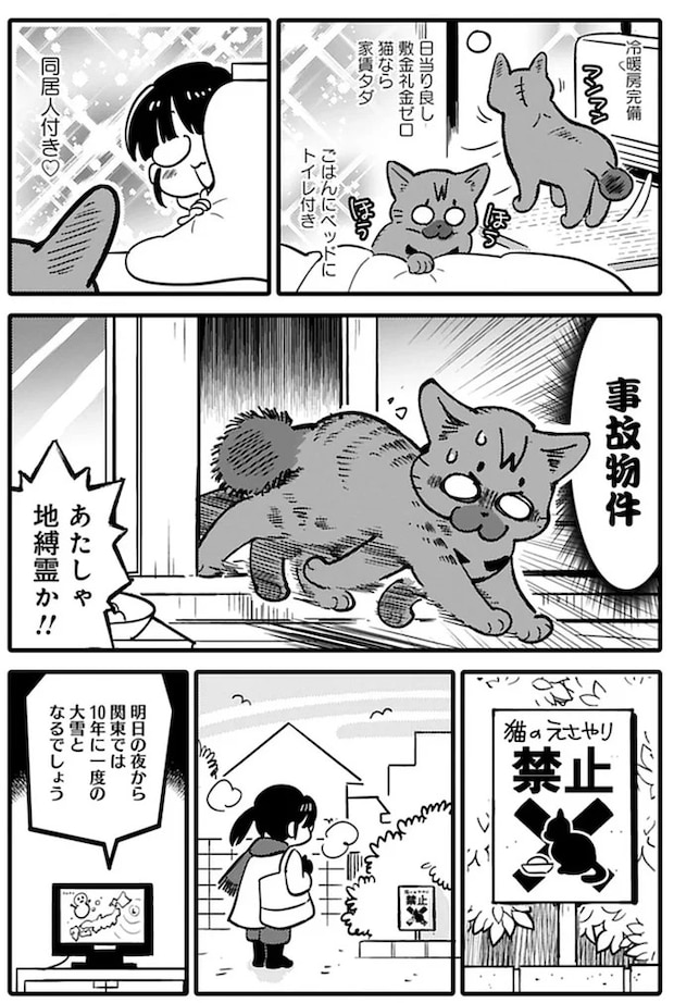 15791619.webp