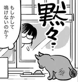 ベランダに居付いた猫を雪から守る！ 暖かい寝床を用意した結果は／ブリちゃん日記