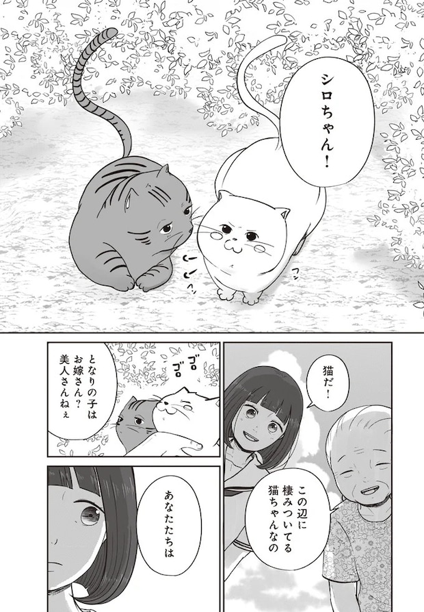 15753604.webp