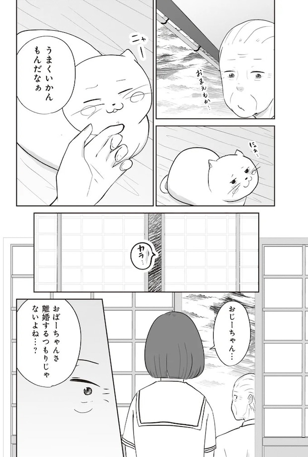 15753607.webp