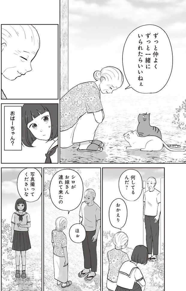 15753605.webp