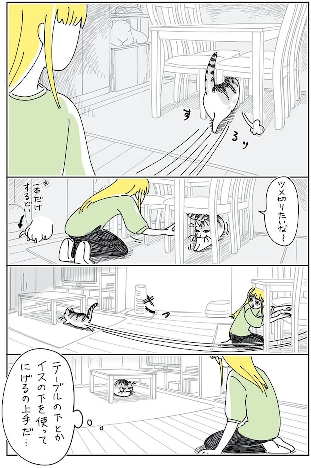 15896272.webp