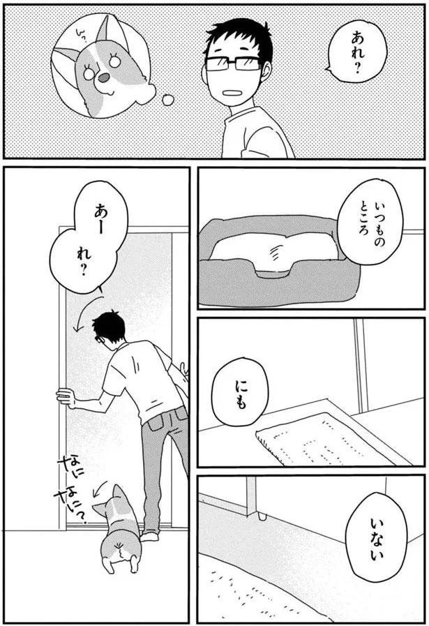 15699721.webp