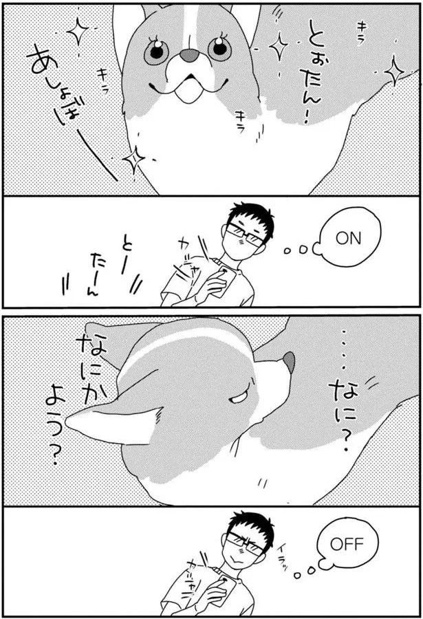15699722.webp