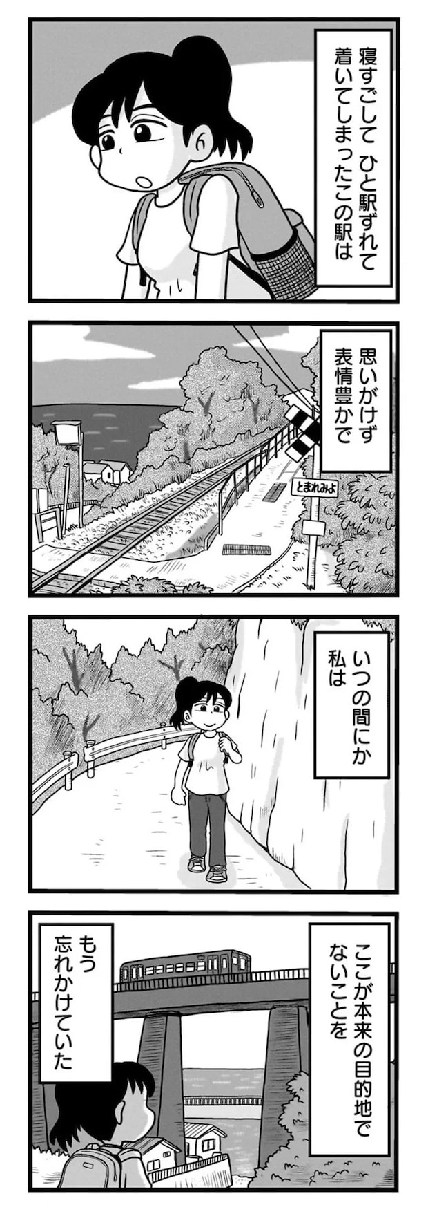 15843730.webp