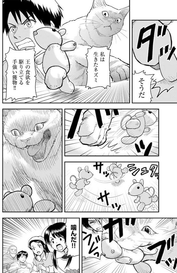 15751183.webp