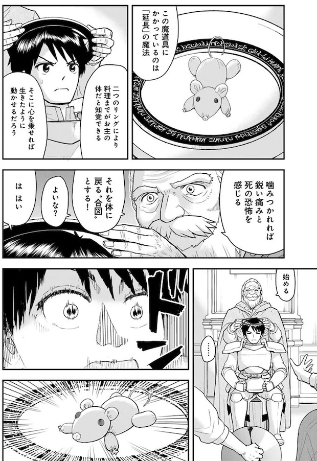 15751177.webp